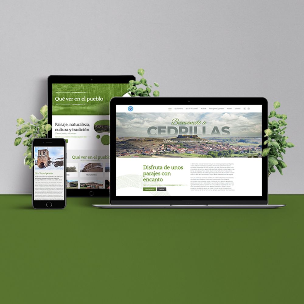 Diseño web Zaragoza - foto de oficina