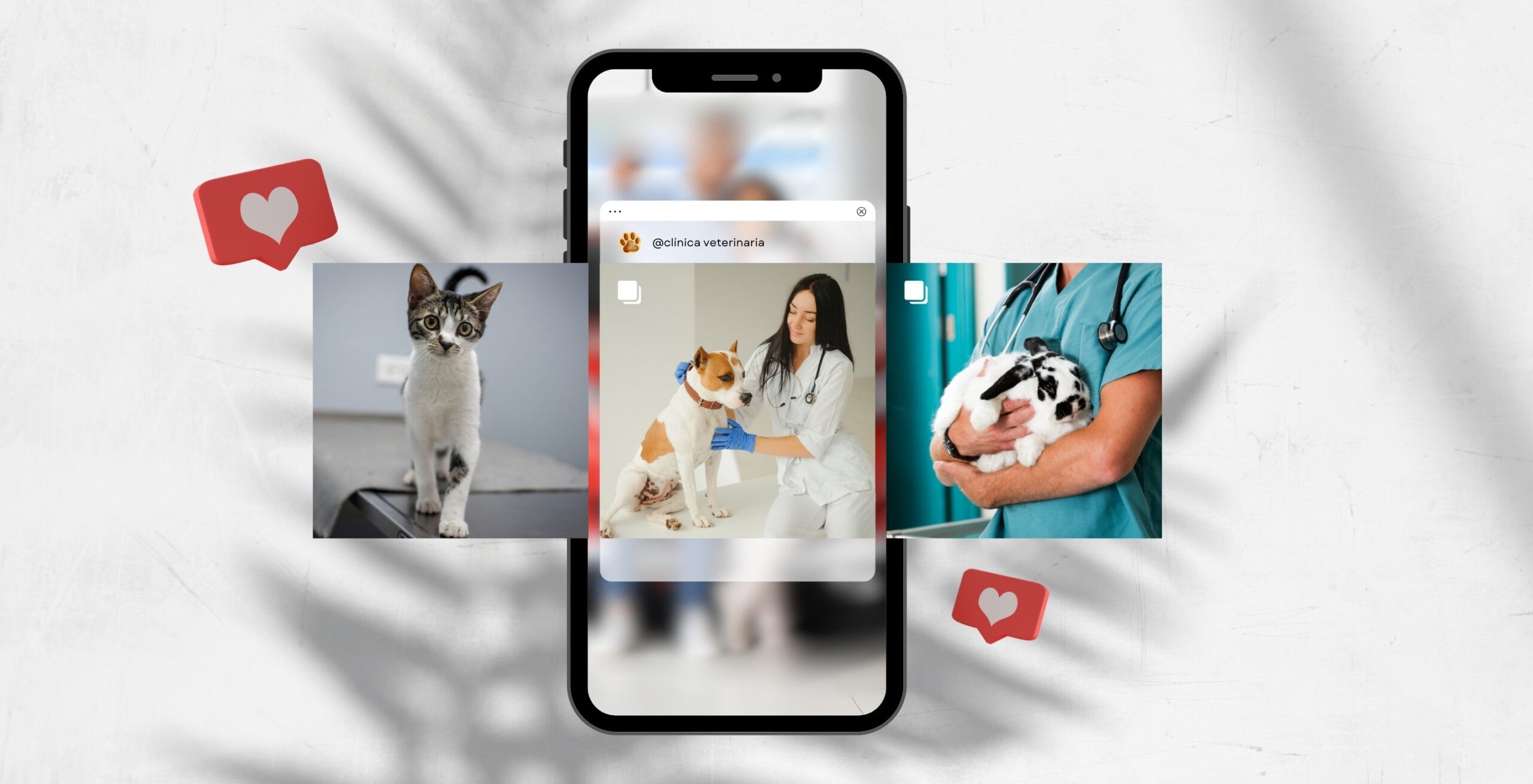 imagen de teléfono con perfil social de instagram de concesionario de doches