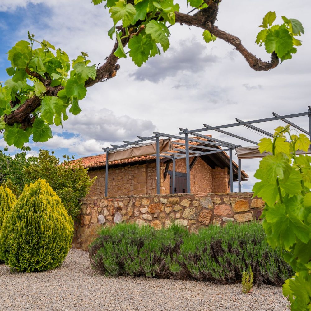 Diseño web Zaragoza - Masía la Torre