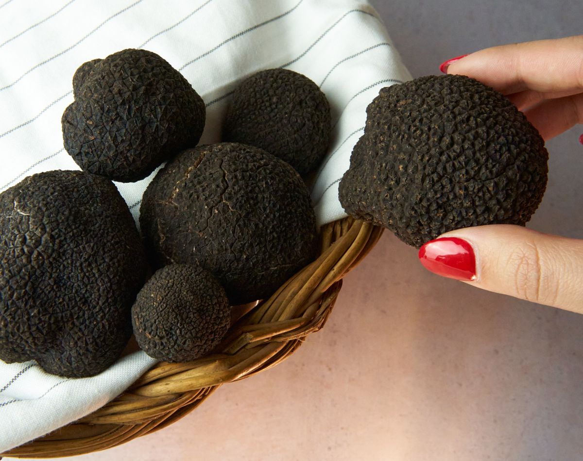 imagen de trufa en la mano