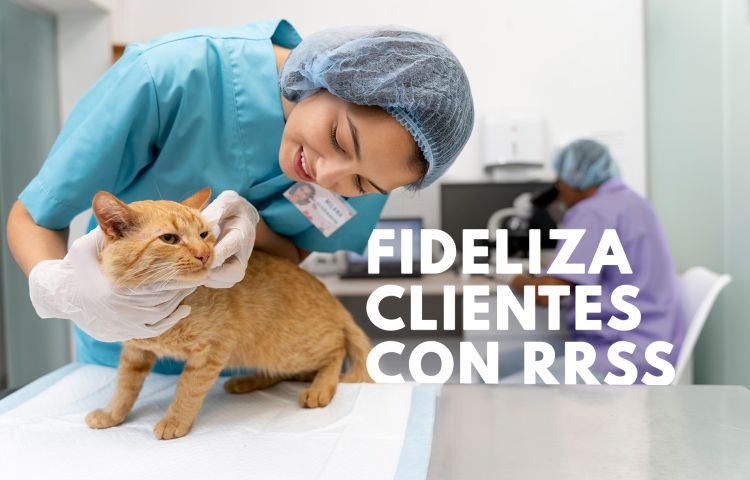 imagen profesional curando a gato veterinaria