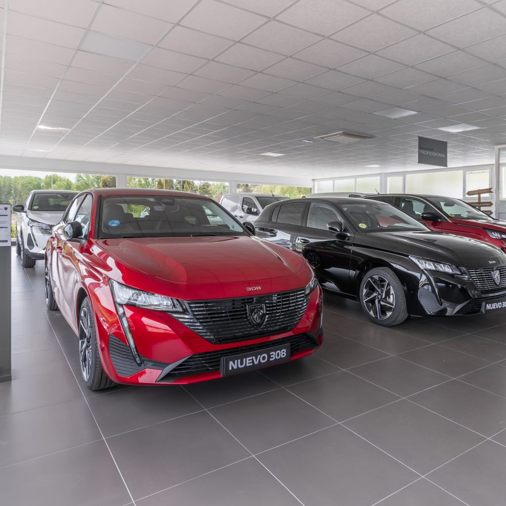 Diseño web Zaragoza - Martín Lizaga