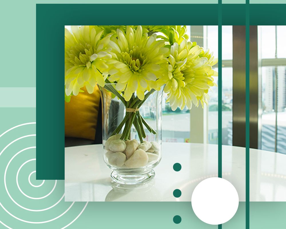 Diseño web Zaragoza - Vidrios online