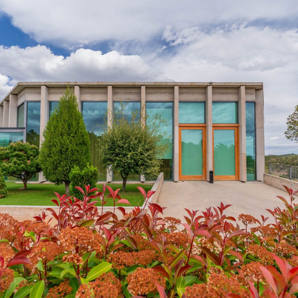 Diseño web Zaragoza - Masía la Torre