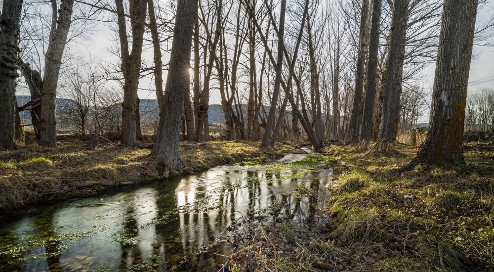 Diseño web Zaragoza - Ayuntamiento de Fortanete